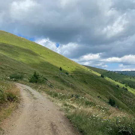 Апартаменты Mali Princ S18 Milmari Копаоник