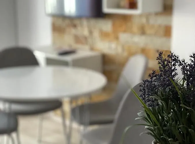 Mali Princ S18 Milmari 公寓 科帕奥尼克