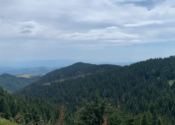 Mali Princ S18 Milmari 公寓 *