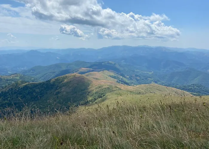 Mali Princ S18 Milmari *