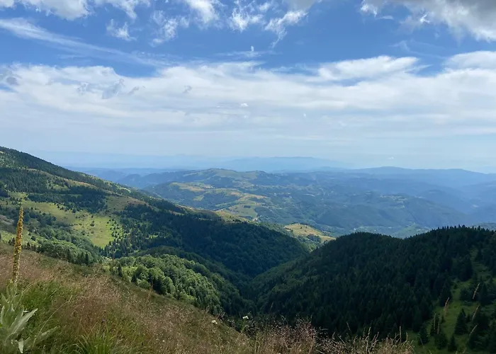 Mali Princ S18 Milmari 科帕奥尼克